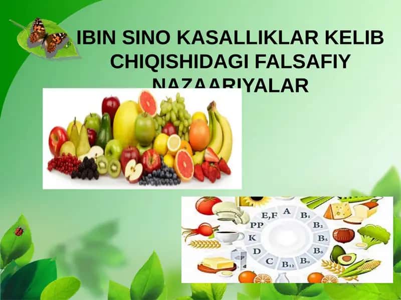IBIN SINO KASALLIKLAR KELIB CHIQISHIDAGI FALSAFIY NAZAARIYALAR