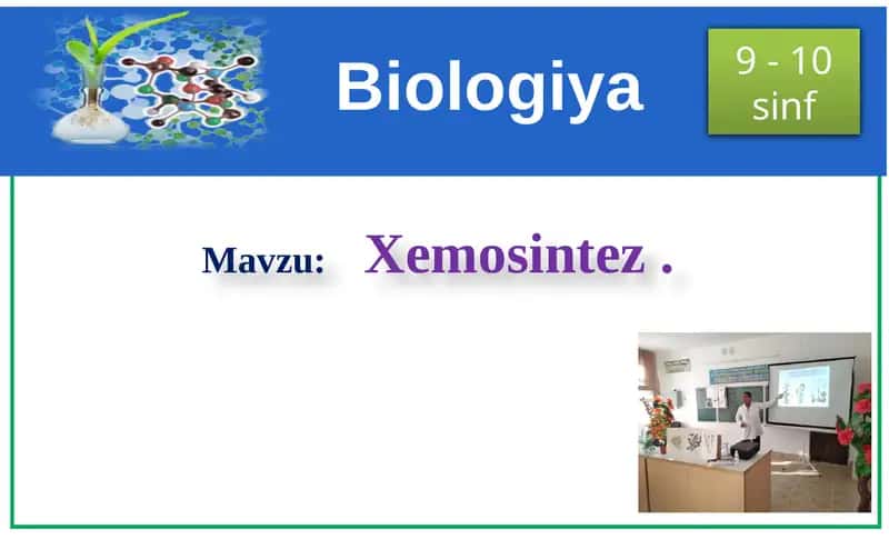 Xemosintez
