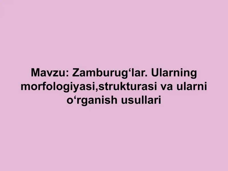 Zamburugʻlar. Ularning morfologiyasi,strukturasi va ularni oʻrganish usullari