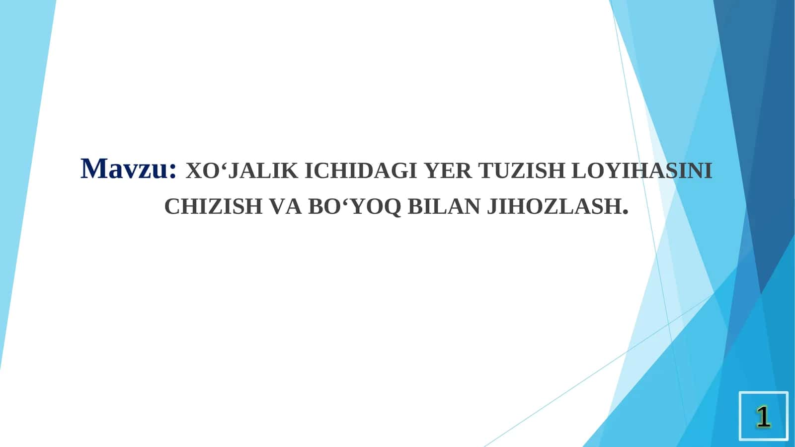 XO‘JALIK ICHIDAGI YER TUZISH LOYIHASINI CHIZISH VA BO‘YOQ BILAN JIHOZLASH