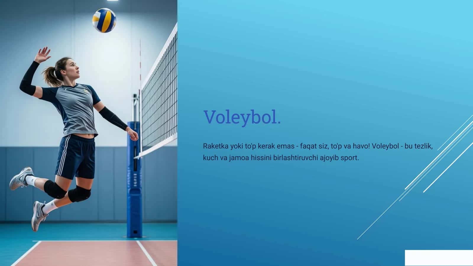 Voleybol