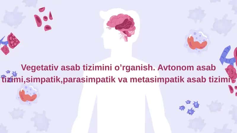 Vegetativ nerv sistemasi
