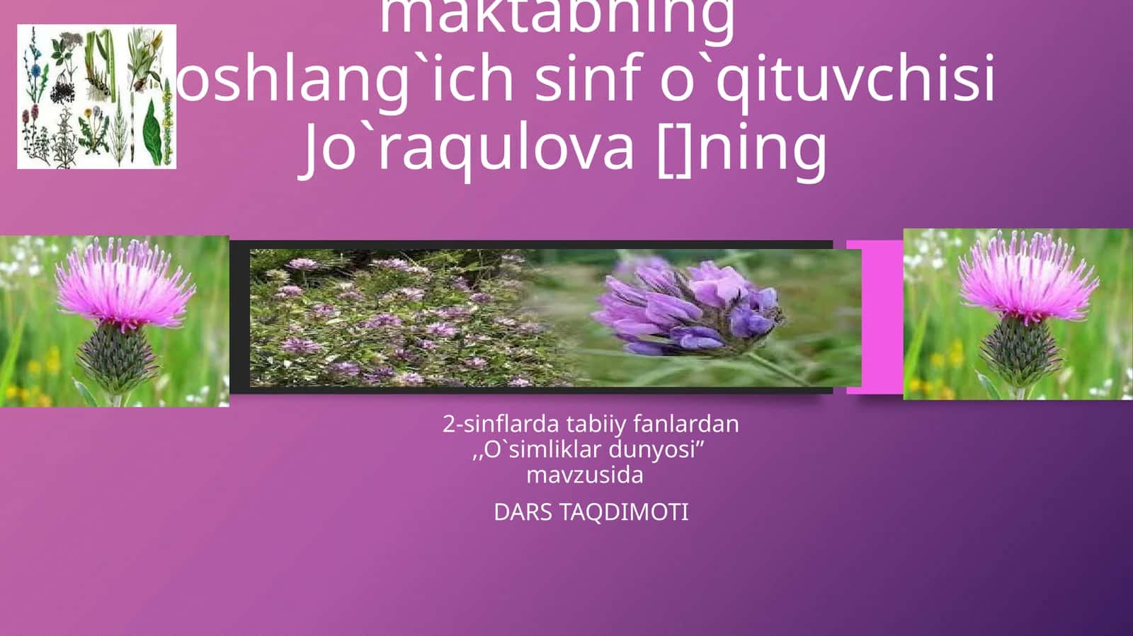 O`simliklar dunyosi