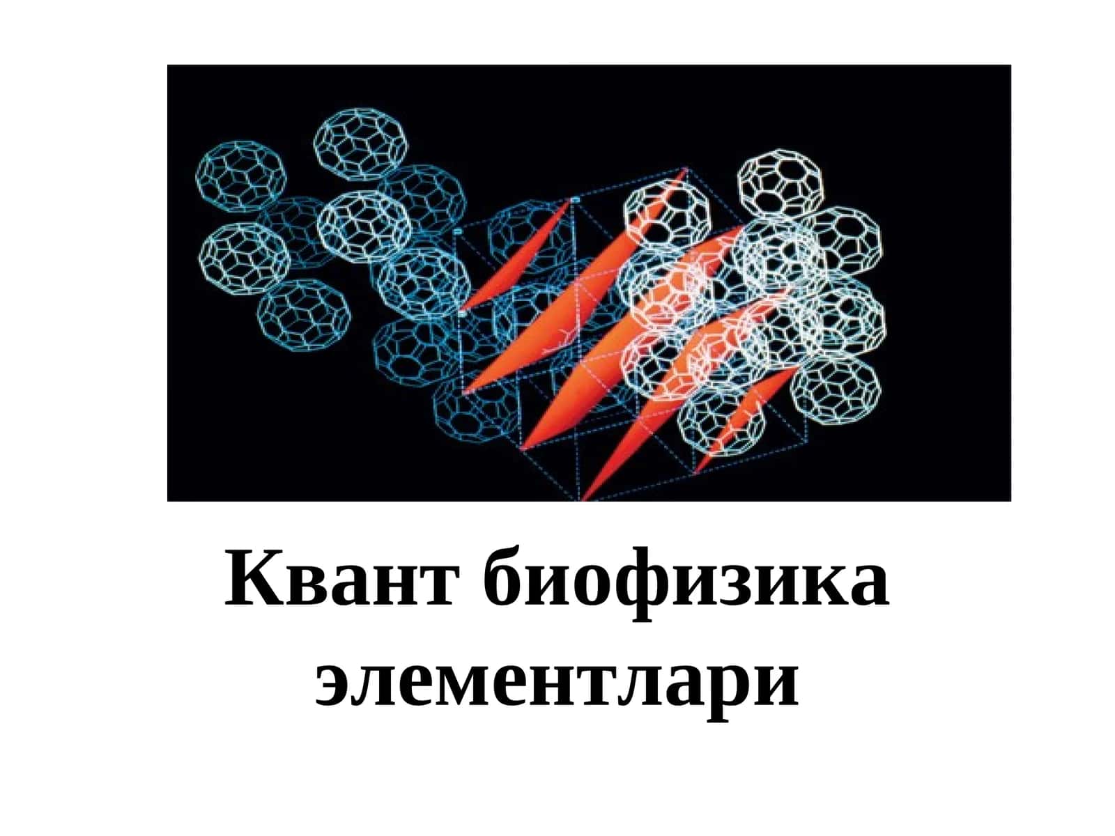 Квант биофизика элементлари