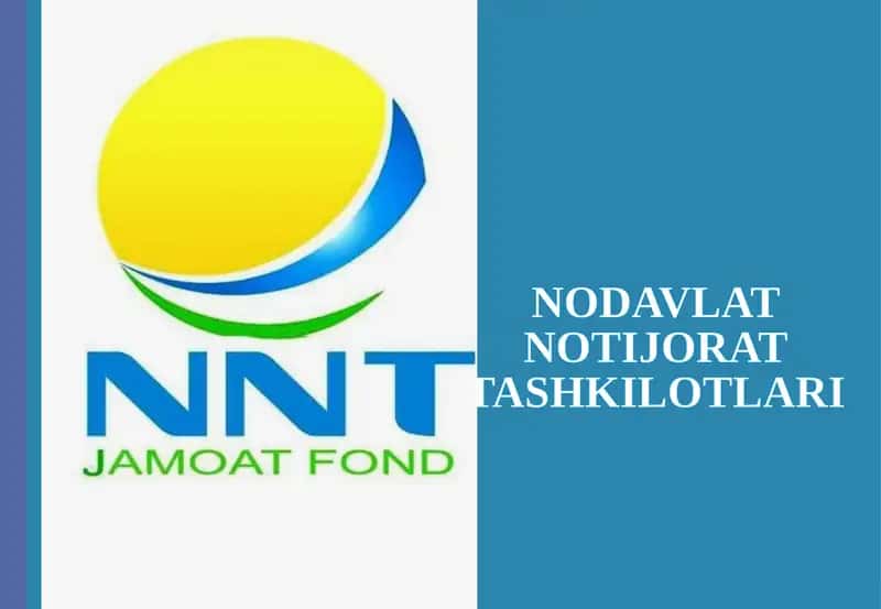 Nodavlat Notijorat Tashkilotlari