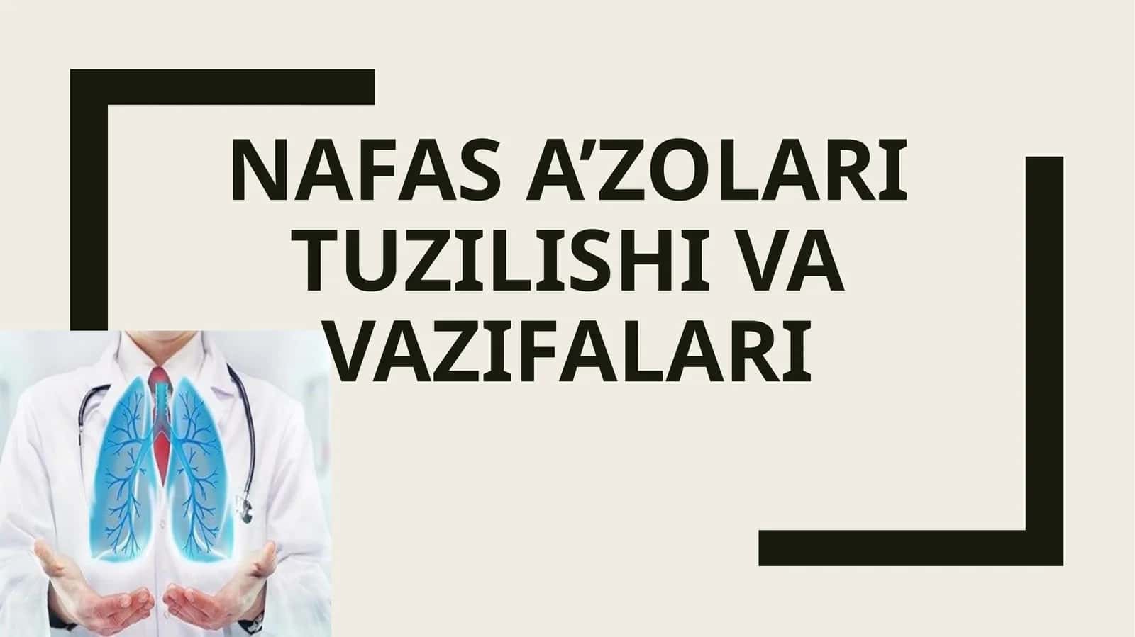 Nafas a’zolari tuzilishi va vazifalari