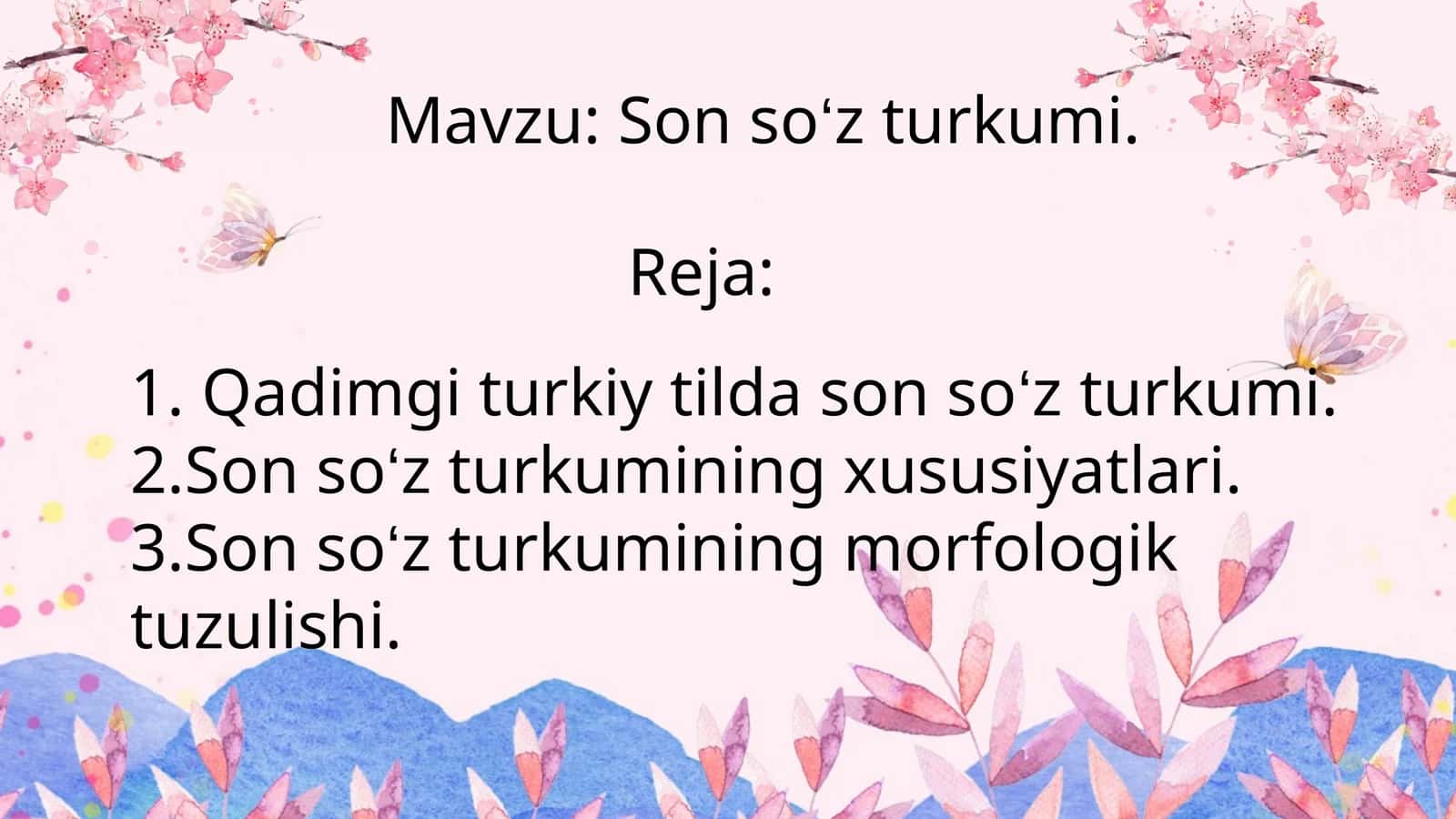 Son so‘z turkumi