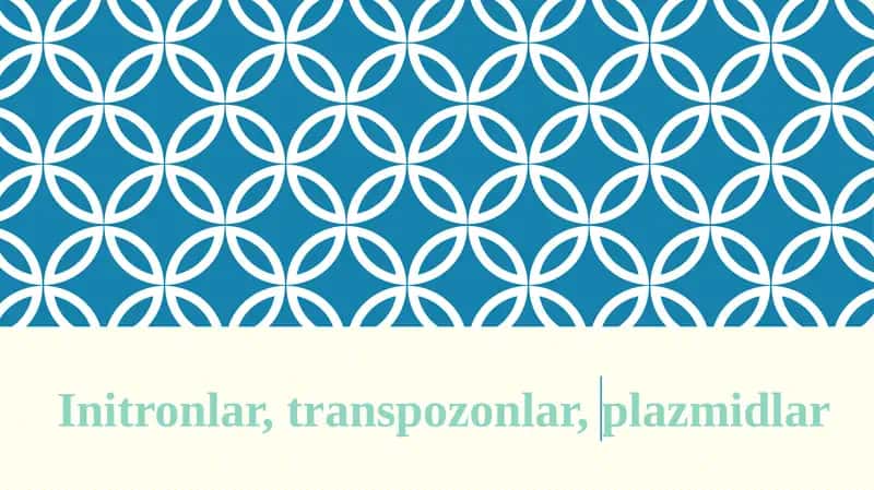 Initronlar, transpozonlar, plazmidlar