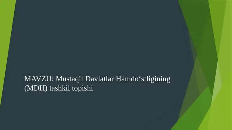 Mustaqil Davlatlar Hamdo‘stligining (MDH) tashkil topishi