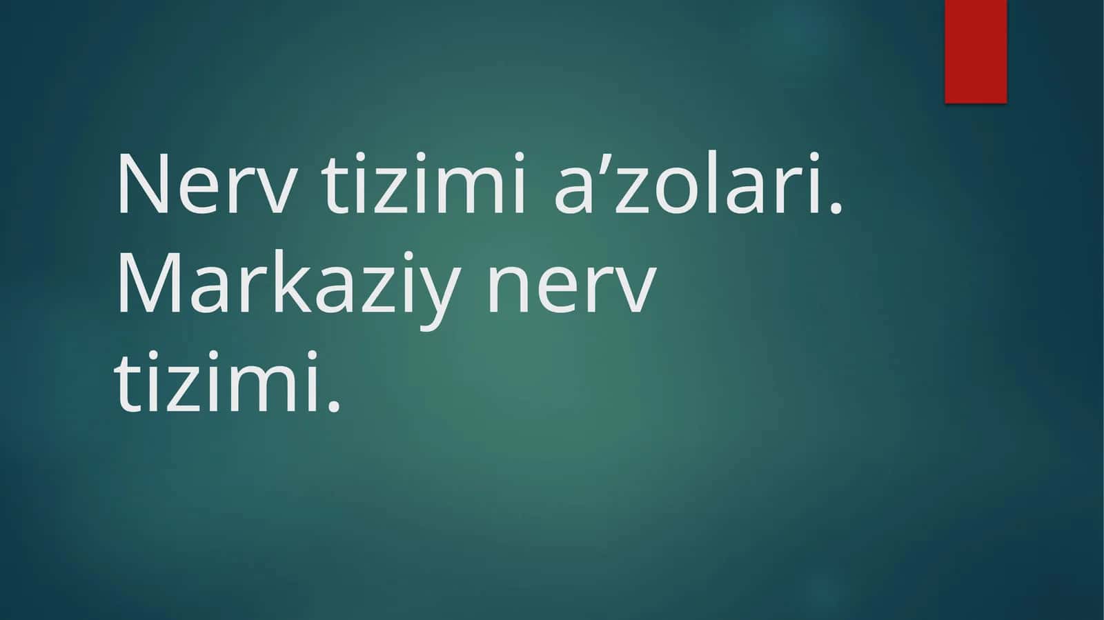 Asab tizimi