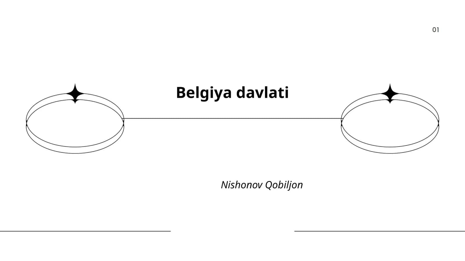 Belgiya davlati