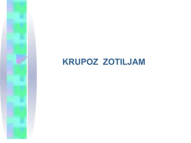 KRUPOZ ZOTILJAM