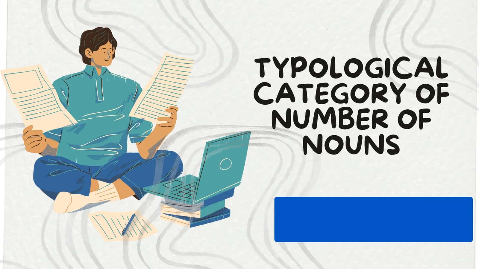 Typological category of number of nouns