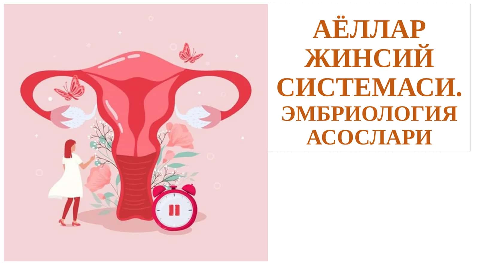 АЁЛЛАР ЖИНСИЙ СИСТЕМАСИ.ЭМБРИОЛОГИЯ АСОСЛАРИ