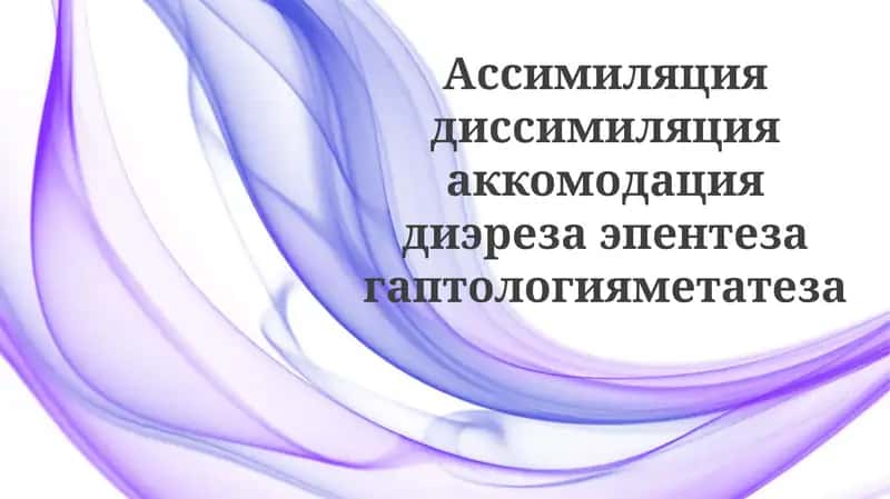 Звуковые изменения и история языка