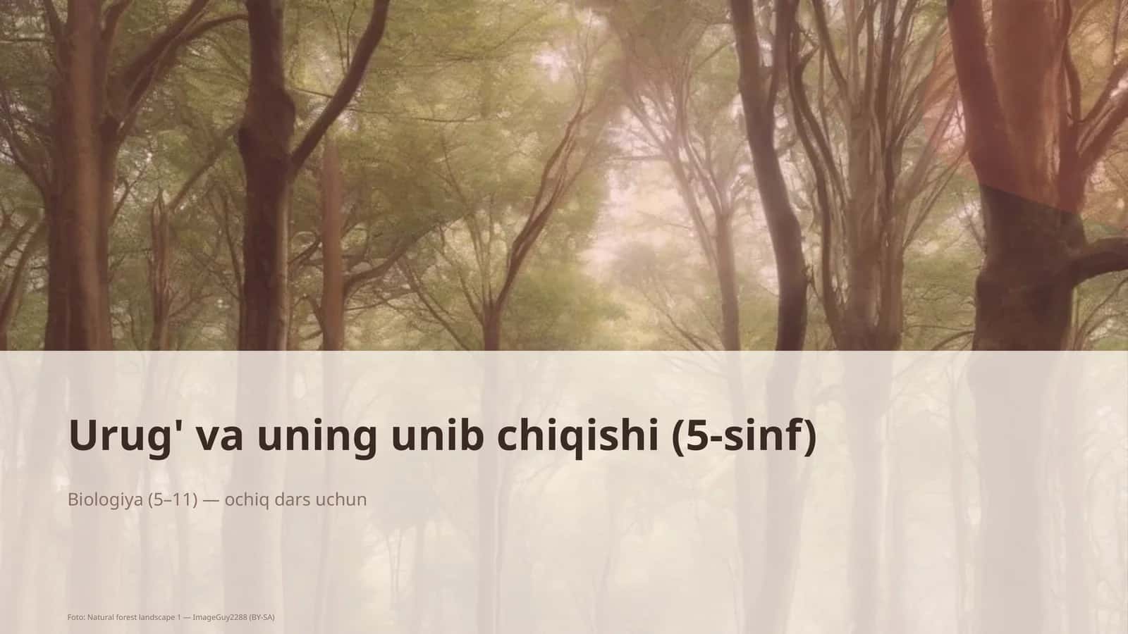 Urug' va uning unib chiqishi (5-sinf)