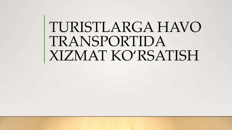 TURISTLARGA HAVO TRANSPORTIDA XIZMAT KO‘RSATISH