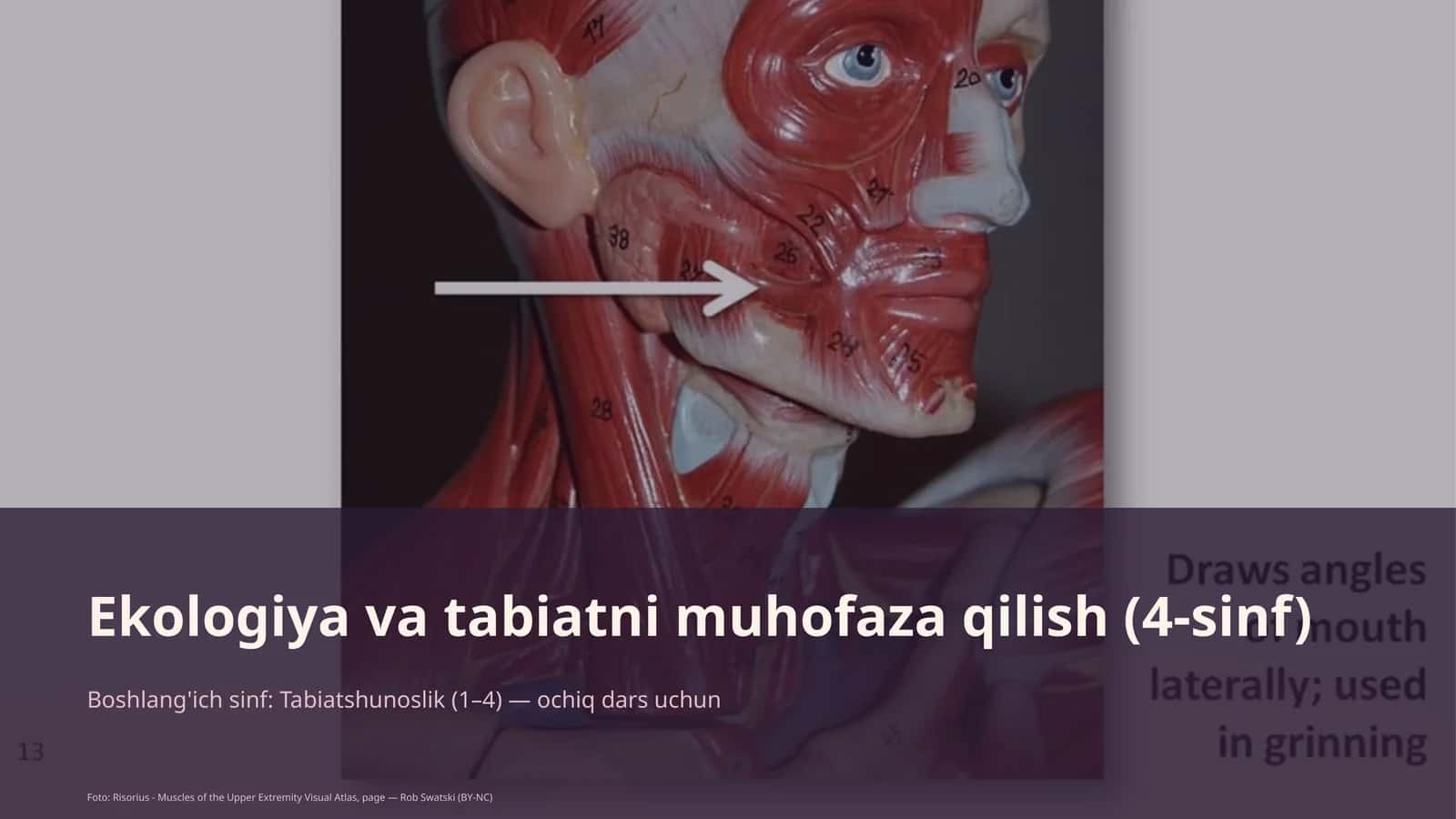 Ekologiya va tabiatni muhofaza qilish (4-sinf)