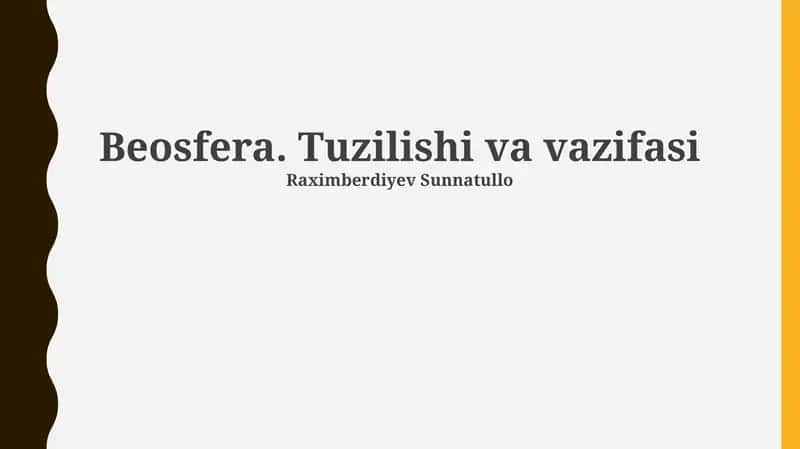 Beosfera. Tuzilishi va vazifasi