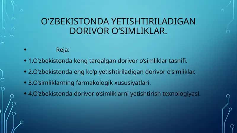 O‘zbekistonda yetishtiriladigan dorivor o‘simliklar.