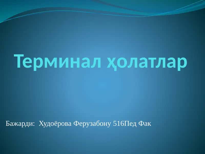 Terminal holatlar