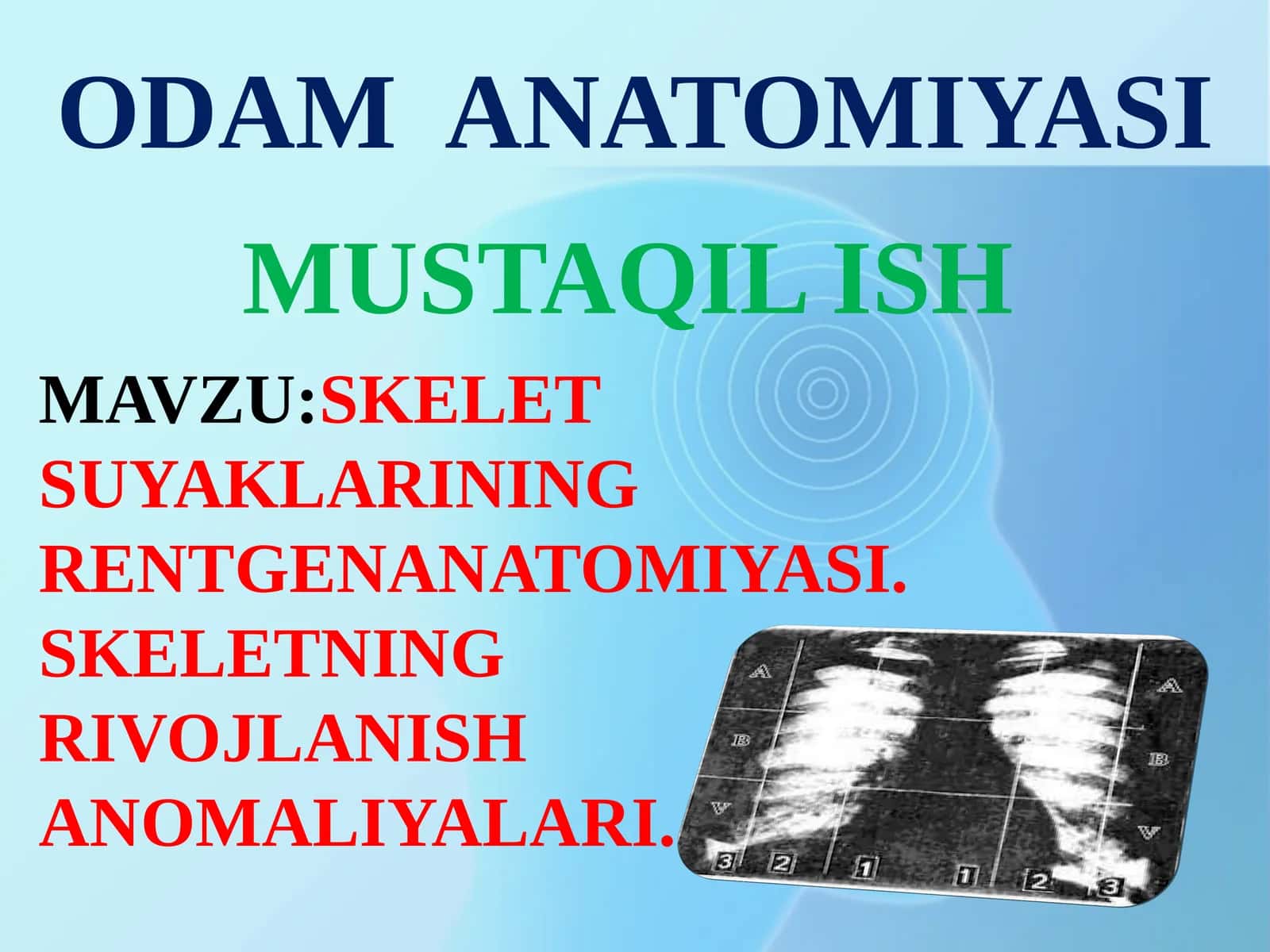 ODAM ANATOMIYASI