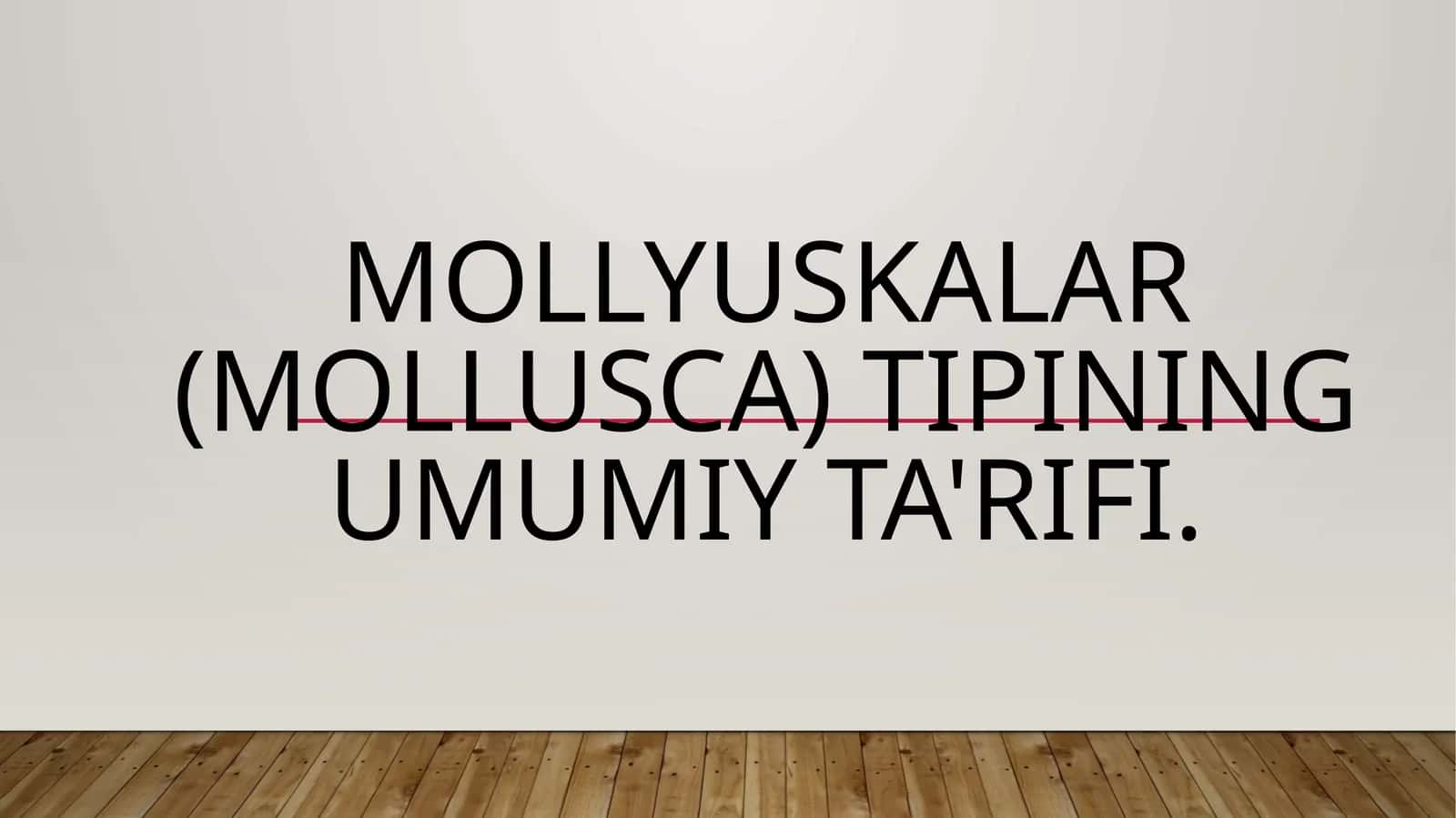 Mollyuskalar (Mollusca) tipining umumiy ta'rifi.