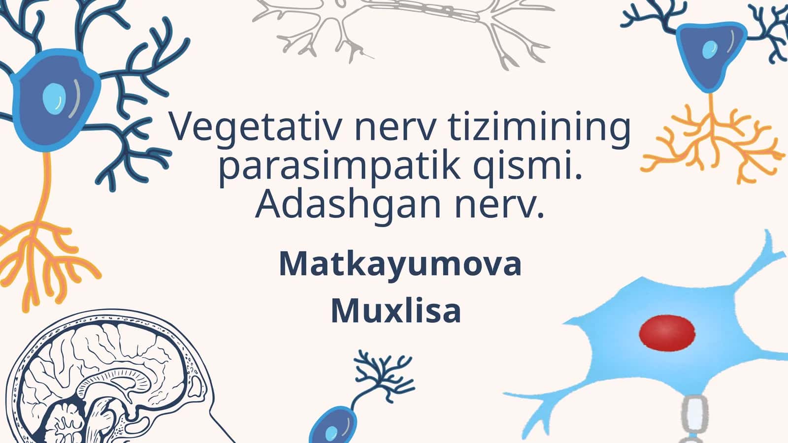 Parasimpatik nervlar
