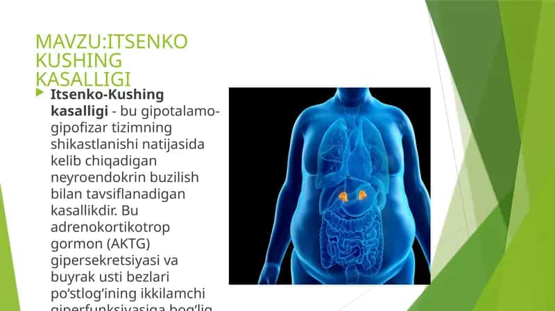 Itsenko Kushing kasalligi