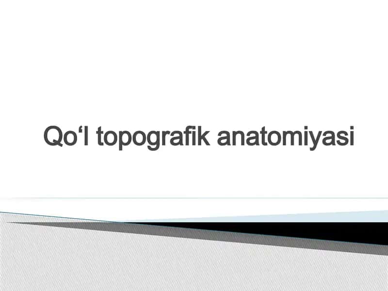 qoʻl topgrafik anatomiyasi