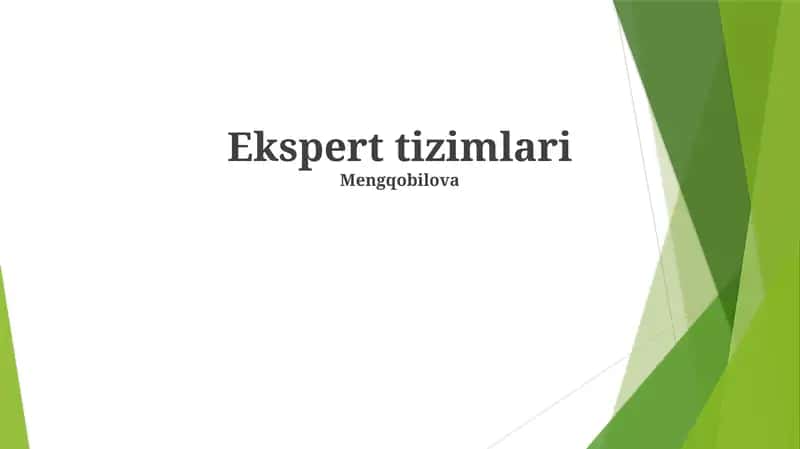 Ekspert tizimlari