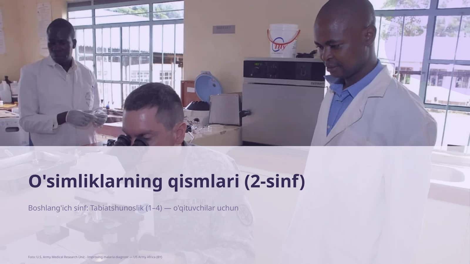 O'simliklarning qismlari (2-sinf)