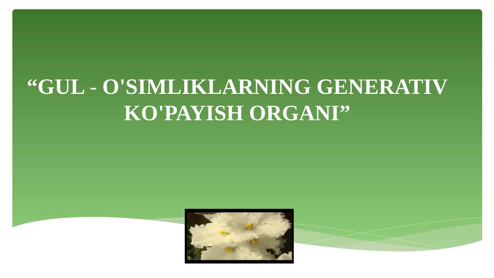 GUL-O'SIMLIKLARNING GENERATIV KO'PAYISH ORGANI