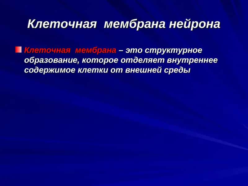 Клеточная мембрана нейрона