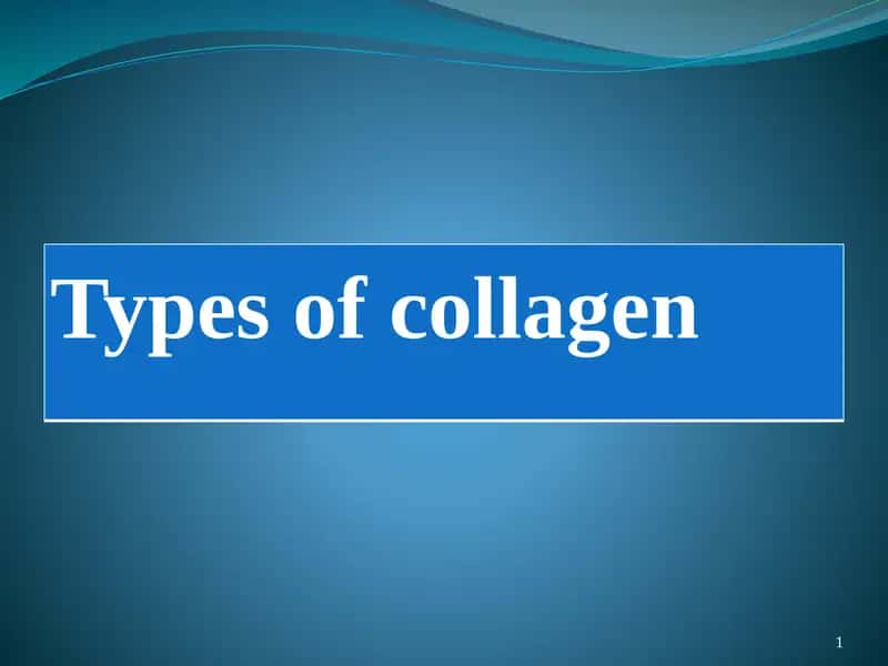 Types of collagen