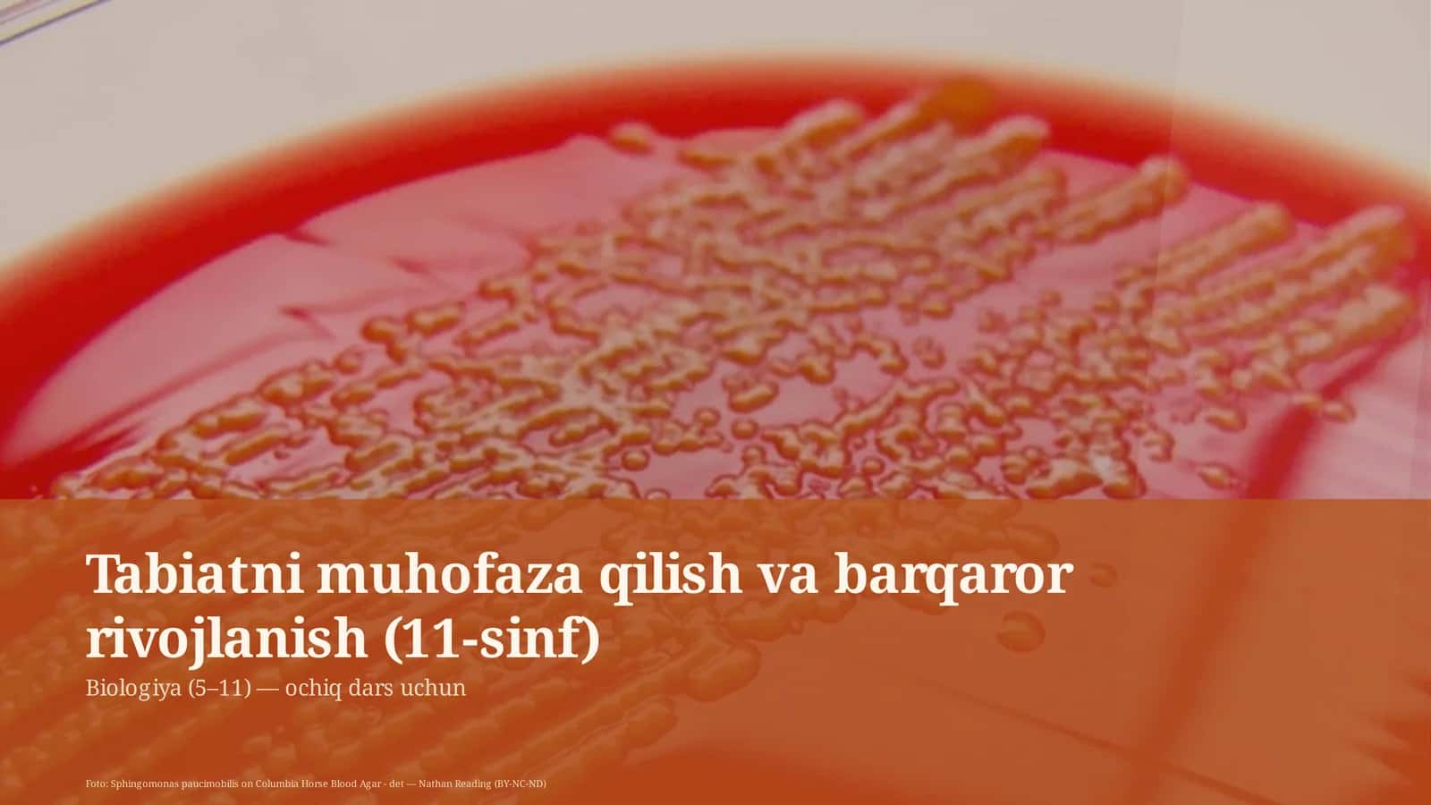 Tabiatni muhofaza qilish va barqaror rivojlanish (11-sinf)