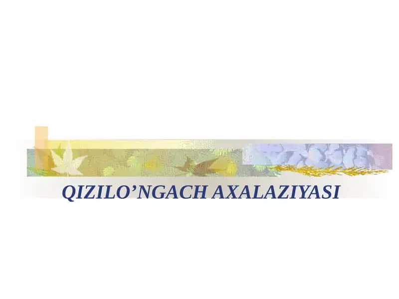 QIZILO’NGACH AXALAZIYASI