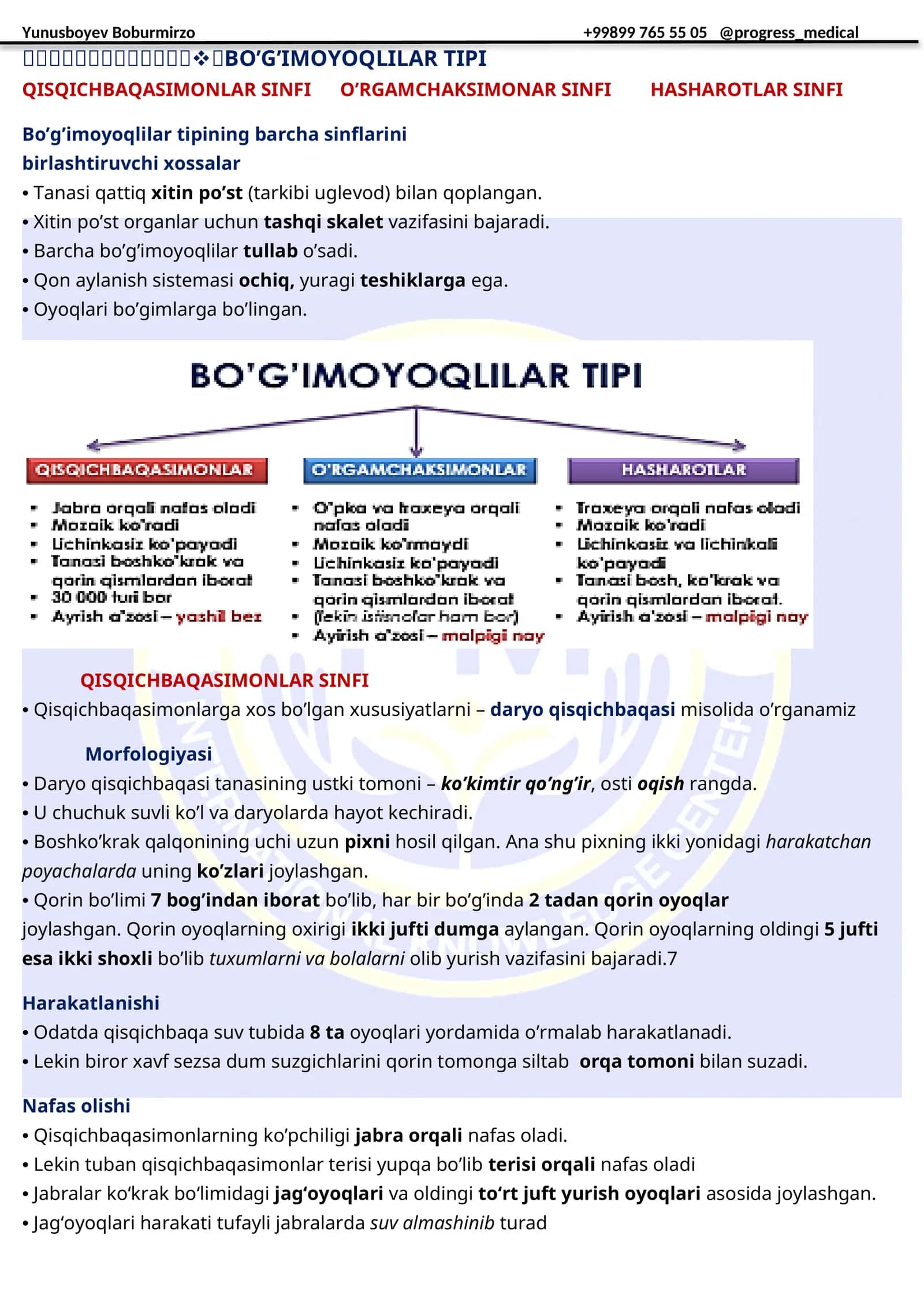 Bo’g’imoyoqlilar tipi