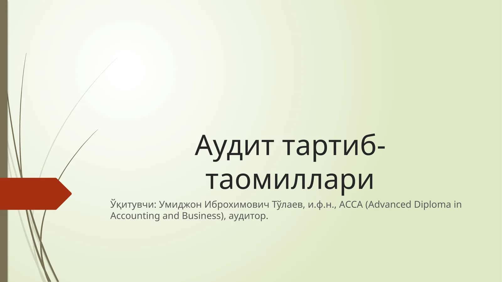 Аудит тартиб-таомиллари