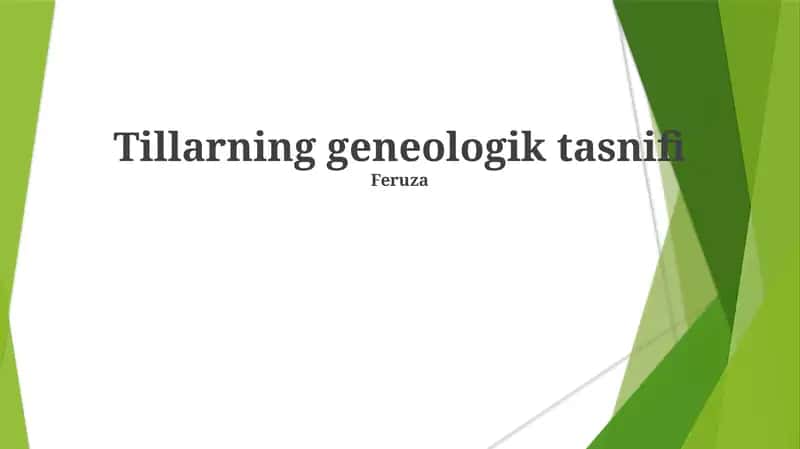 Tillarning geneologik tasnifi