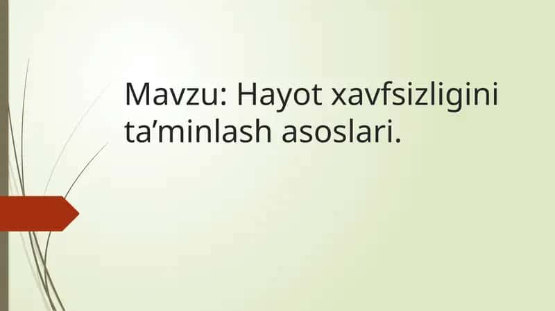 Hayot xavfsizligini ta'minlash asoslari
