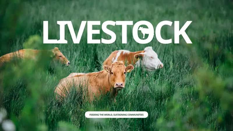 Livestock Feeding the World, Sustaining Communities