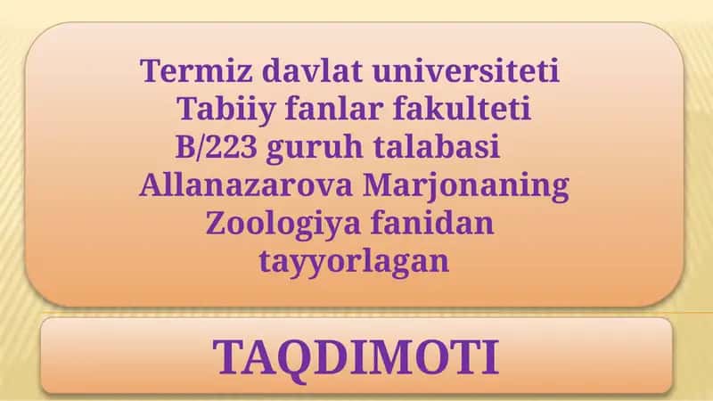Nemirtinlarni qonaylanish va nafas olish sistemalari