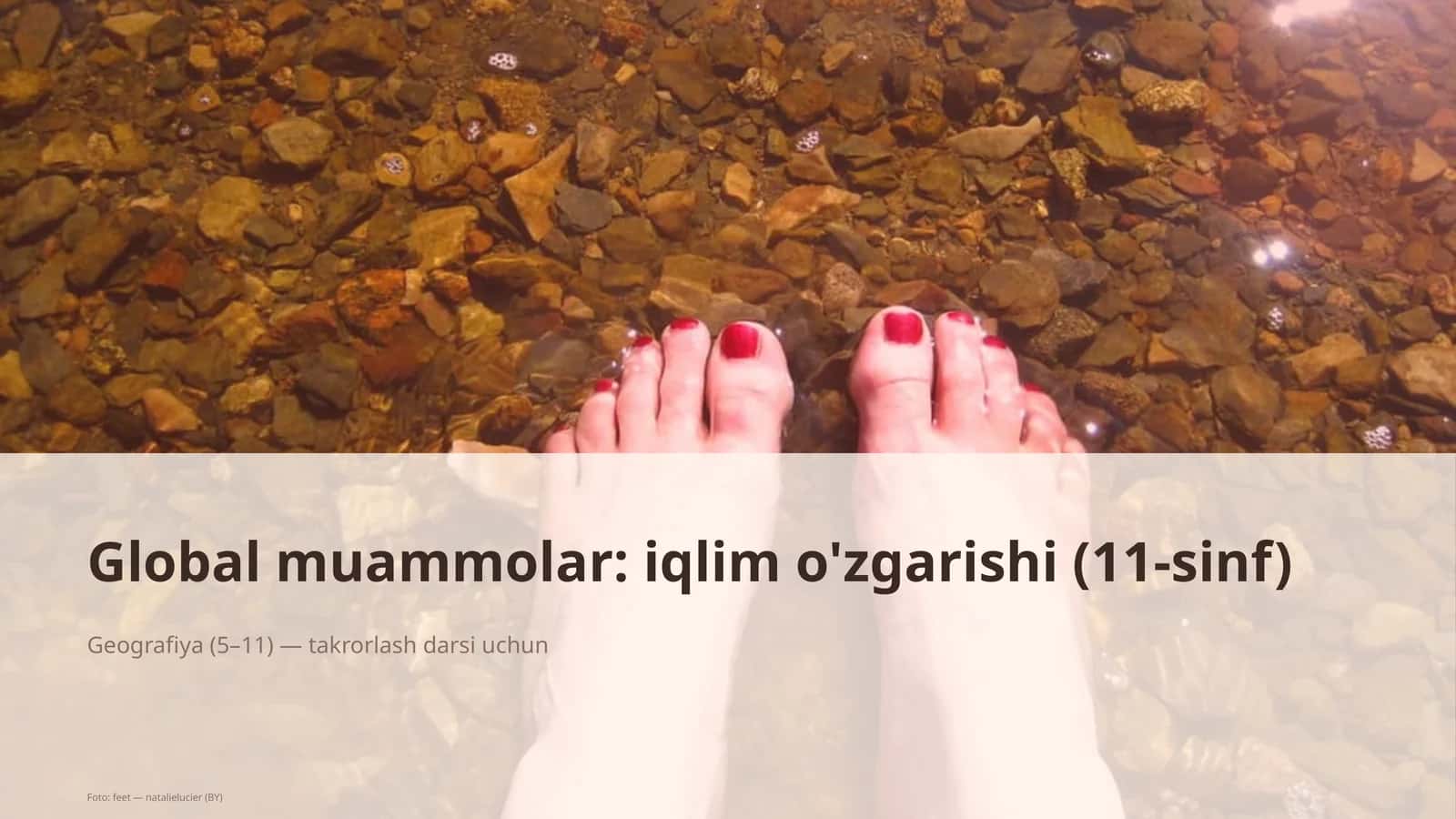 Global muammolar: iqlim o'zgarishi (11-sinf)