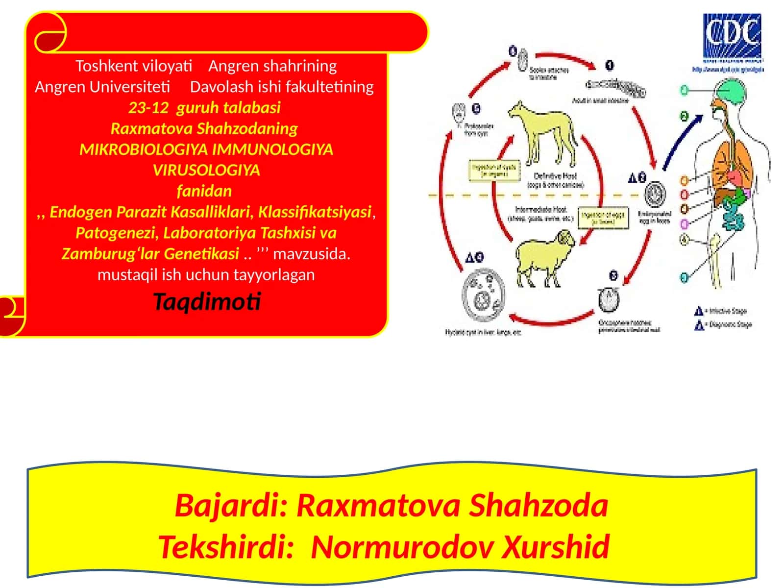 Davolashishifakulteti 23-12 guruh talabasi