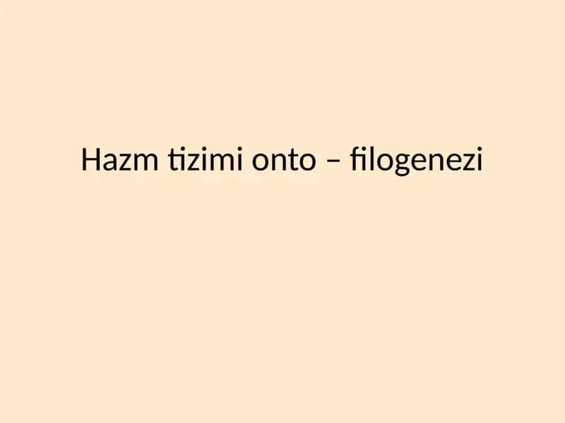 Hazm tizimi onto filogenezi