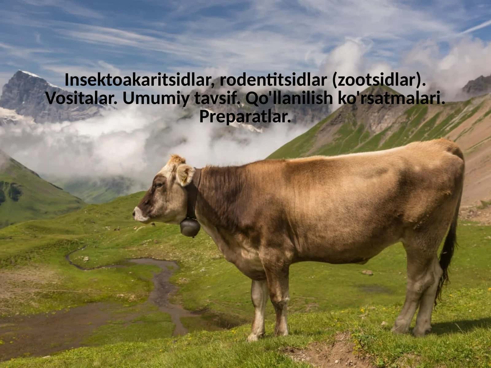 Insektoakaritsidlar va rodentsidlar xarakteristikasi