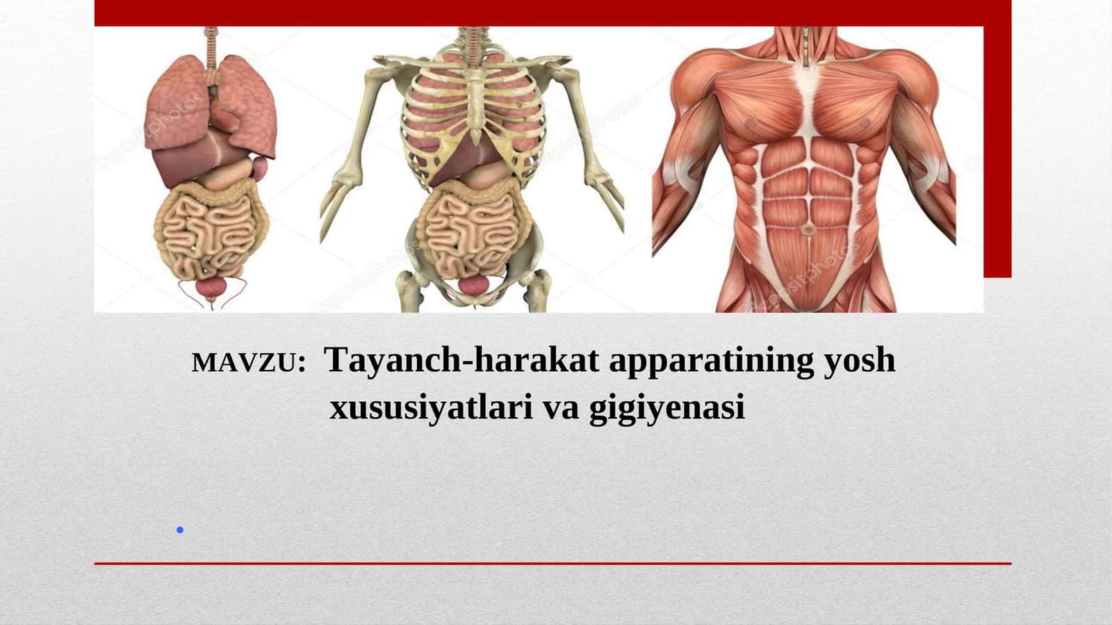 Tayanch-harakat apparatining yosh xususiyatlari va gigiyenasi