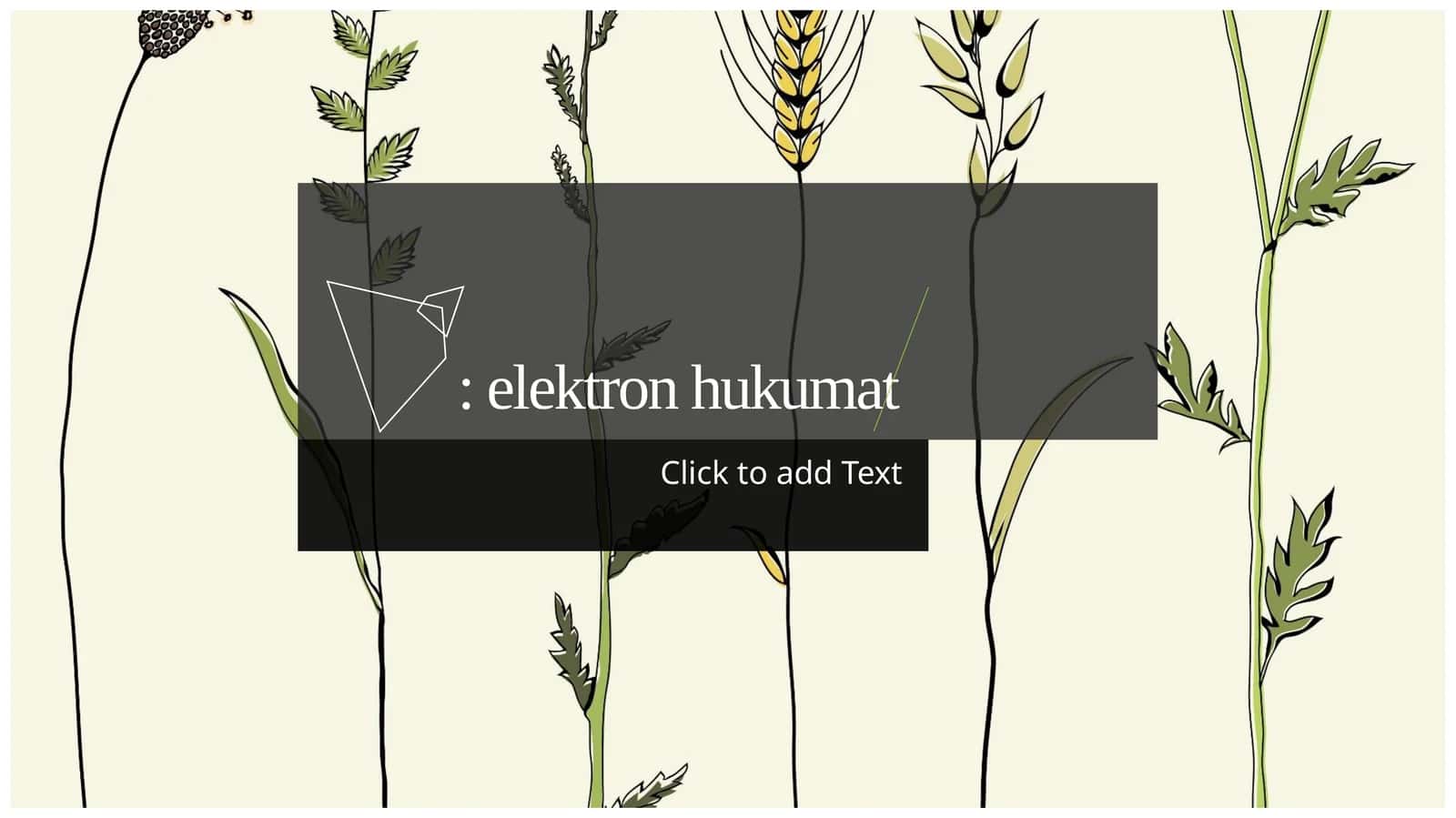 Elektron hukumat