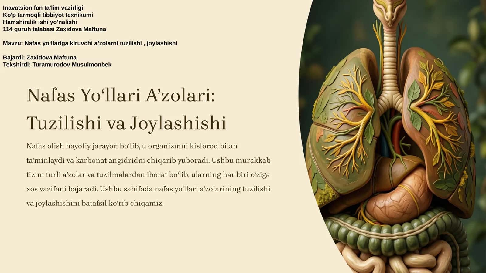 Nafas Yoʻllari Aʼzolari: Tuzilishi va Joylashishi